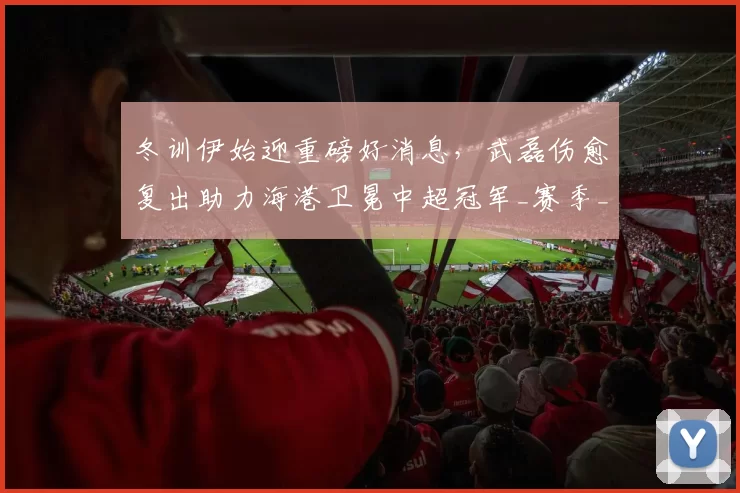 冬训伊始迎重磅好消息,武磊伤愈复出助力海港卫冕中超冠军_赛季_上海_贡献