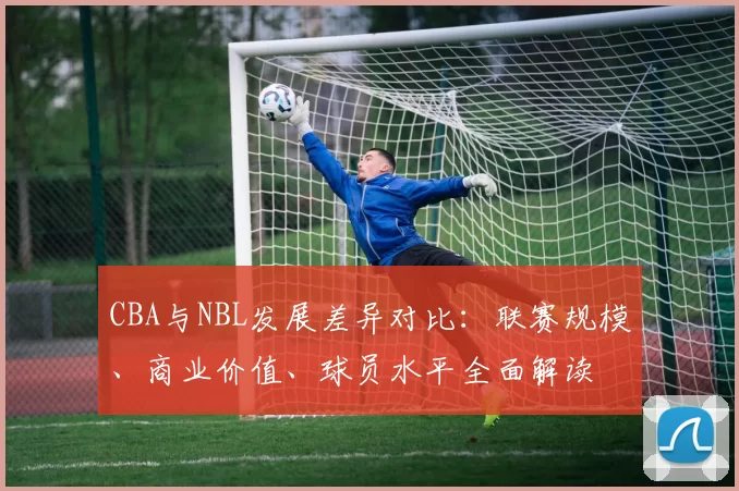 CBA与NBL发展差异对比：联赛规模、商业价值、球员水平全面解读
