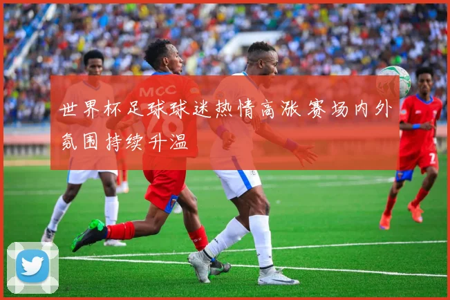 世界杯足球球迷热情高涨 赛场内外氛围持续升温